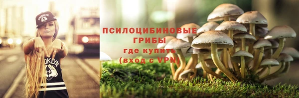 таблы Алзамай