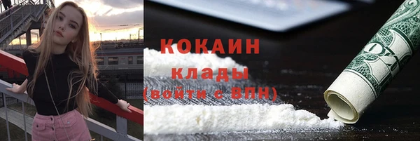 шишки Алексин