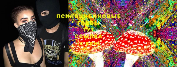 таблы Алзамай